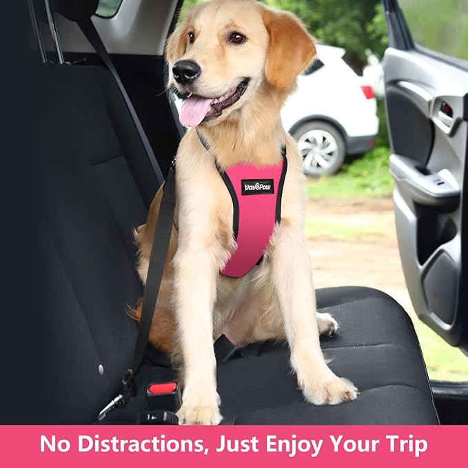 VavoPaw Dog Seat Belt, Safety Vest Dog Car Harness with Adjustable Buckle Dog Seat Belt for Vehicle Nylon Pet Safety Seat Belts Heavy Duty(XXL, Magenta)
