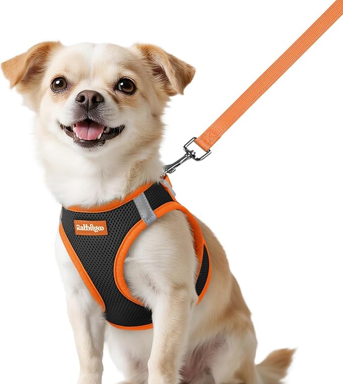 rabbitgoo Dog Harness Small Sized and Leash Set, Step-in Breathable Pet Harness, Soft Walking Reflective Puppy Vest for Small Dogs, Black & Orange, XXS