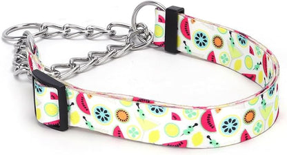 Martingale Dog Collar with Stainless Steel Chain - Limited Chain Cinch Training Collar for No Pull Training Dog - Flower Multicolor Cute Patterns - Premium No Slip Collar (HA12NO3, S)