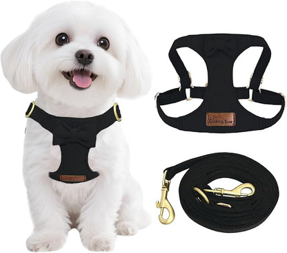 Guiding Star Dog Harness Small Sized Dog with Multifunction Leash, No Pull Puppy Dog Harness and Leash Set Training, Cute Soft Adjustable Dog Walking Harness Pet Vest Harness (Black-XS)