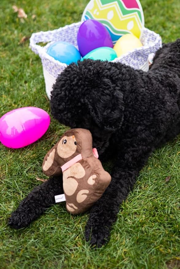 Pearhead Chocolate Bunny Plush Dog Toy, Easter Squeaky Dog Toy, Soft Plush Pet Toy for Dogs and Puppies, Easter Basket Gift for Pets