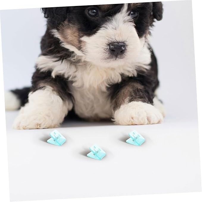 BESPORTBLE 8pcs Transparent Wall-Mounted Dog Pee Pad Holder Clips Reusable Puppy Training Supplies Nonslip Base for Secure Potty Pad Placement