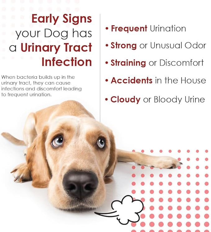 Cranberry D-Mannose Urinary Tract Supplement for Dogs & Cats – Bladder & UTI Health Support – Cranberry Extract, D-Mannose & Vitamin C–Promotes Urinary Wellness & Kidney Function – 60 Chewable Tablets
