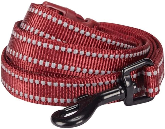 Blueberry Pet Essentials Durable 3M Reflective Classic Dog Leash 4 ft x 1", Marsala Red, Large, Leashes for Dogs