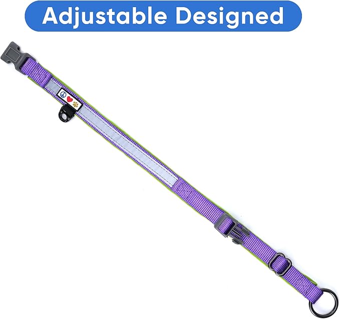 Pawtitas Lumberjack Padded Martingale Collar for Dogs | Soft Neoprene Dog Collar for Your pet's Comfort Made with Reflective Band for Maximum Visibility | Fits Small and Large Pets - Large Purple