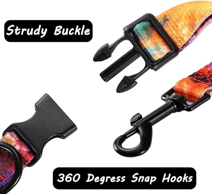 Dog Collar and Leash Set for XSmall Small Medium Large Dogs, Rainbow Stripes, Tie Dye Dog Collar (S(9.9''-11.8''))