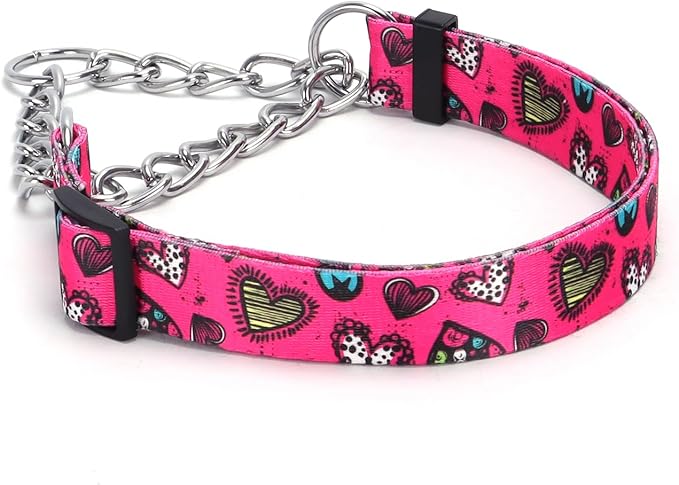 Martingale Dog Collar with Stainless Steel Chain - Limited Chain Cinch Training Collar for No Pull Training Dog - Flower Multicolor Cute Patterns - Premium No Slip Collar (HA12NO1, M)
