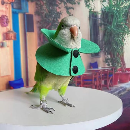 Pet Parrot Anti-bite Elizabethan Collars, Anti-Grab Feather Plucking Wound Healing Safety Recovery Collar Cones for Budgerigar Lovebird Conure Cockatiel Cockatoo Random Color (2XL)
