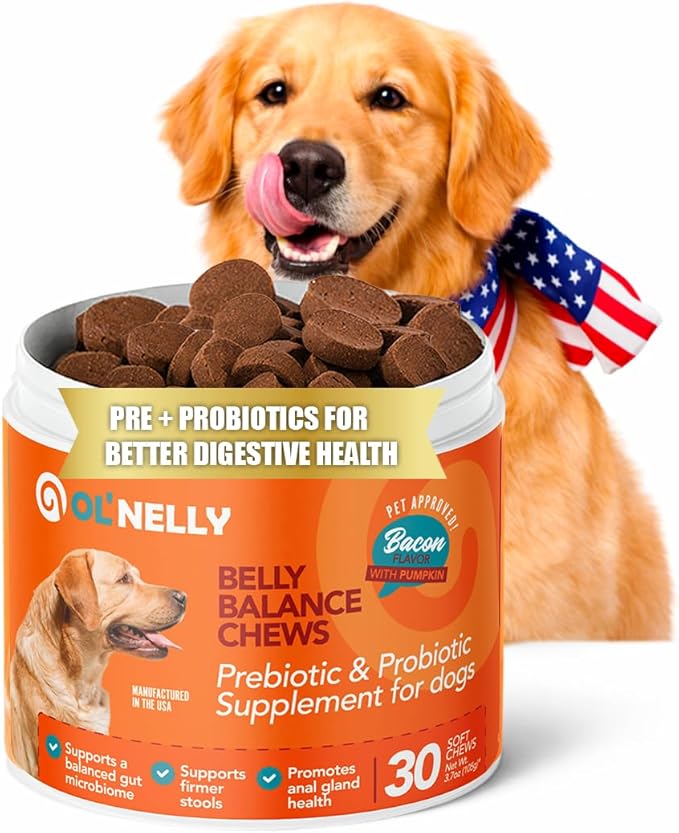 Dog Probiotic Chews – Pre & Probiotics for Dogs with Pumpkin-Digestive & Gut Health Support, Helps with Diarrhea, Gas & Constipation, Bacon Flavor, 30 Soft Chews – Ol'Nelly