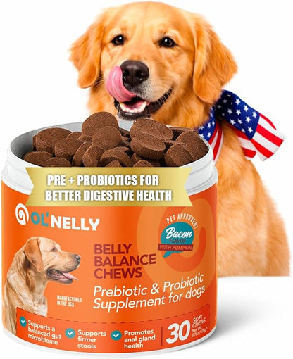 Dog Probiotic Chews – Pre & Probiotics for Dogs with Pumpkin-Digestive & Gut Health Support, Helps with Diarrhea, Gas & Constipation, Bacon Flavor, 30 Soft Chews – Ol'Nelly