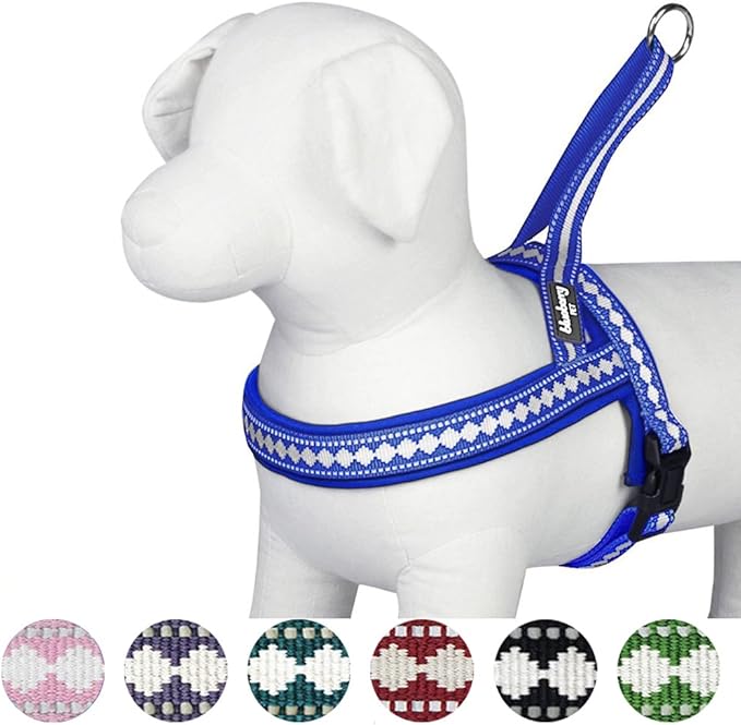 Blueberry Pet 4 Colors Soft & Comfy 3M Reflective Jacquard Padded Dog Harness, Chest Girth 21.5" - 27.5", Palace Blue, S/M, Adjustable Harnesses for Dogs