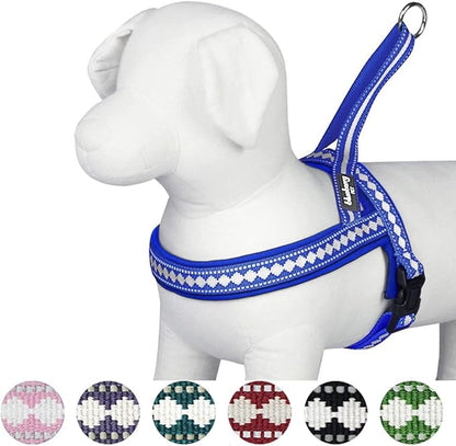 Blueberry Pet 4 Colors Soft & Comfy 3M Reflective Jacquard Padded Dog Harness, Chest Girth 21.5" - 27.5", Palace Blue, S/M, Adjustable Harnesses for Dogs
