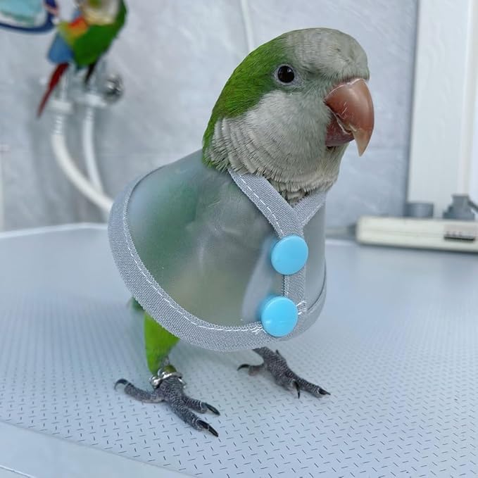 Adjustable Parrot Cone Collar, Safe and Practical Cotton Collar to Prevent Bites and Licking Wounds, to Help heal (S)
