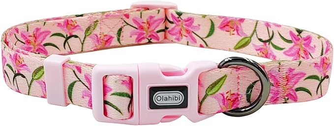 Dog Collar Leash Set, Floral Pattern, Polyester Material, Adjustable Collar and 5ft Matchcing Leash, for Medium Dogs.(M, Pink Lily)