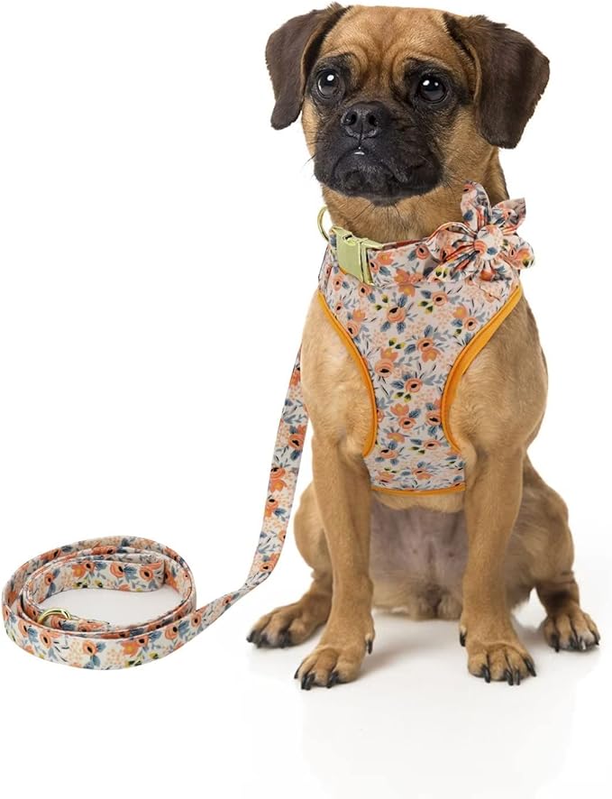 Beirui Cute Girl Dog Collars, Harnesses & Leashes Set - Adjustable Dog Collar and Leash Set with Flower - Soft Mesh Dog Vest Harness for Puppies Small Medium Dogs (Orange,S)
