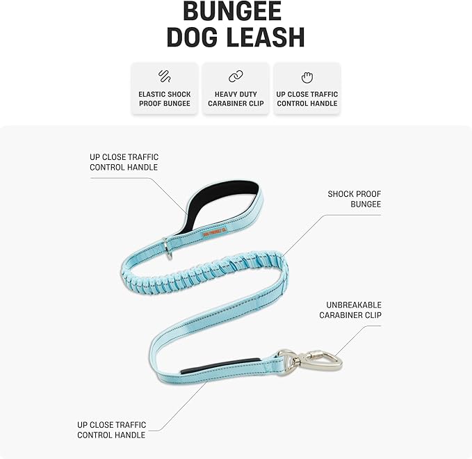 Dog Friendly Co. Bungee Dog Leash | Strain Free & Shock Resistant for Control | Neoprene Padded Handle, Heavy-Duty Carabiner Clip, and D-Ring | Green Camo, Size Regular