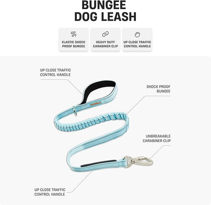 Dog Friendly Co. Bungee Dog Leash | Strain Free & Shock Resistant for Control | Neoprene Padded Handle, Heavy-Duty Carabiner Clip, and D-Ring | Green Camo, Size Regular
