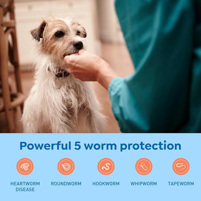 Interceptor Plus Prevention for Heartworm + 4 Other Worms for Dogs 8.1-25 lbs. | 1 Chew, 1-Month Supply