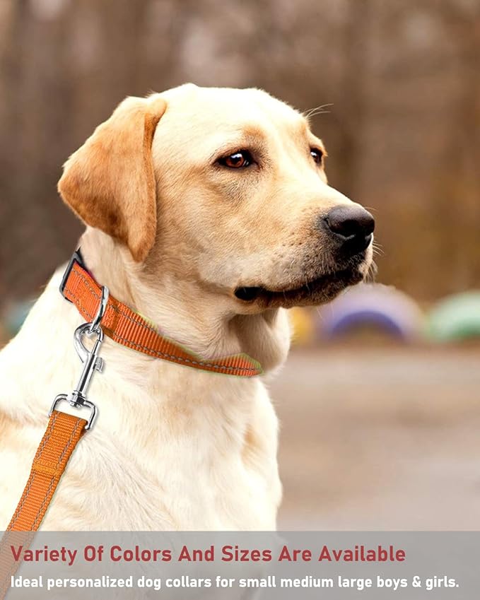 Reflective Dog Collar with Buckle Adjustable Safety Nylon Collars for Small Medium Large Dogs, Orange XL