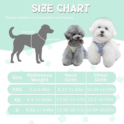 No Pull Dog Harness and Leash Set for Small Sized Dog Training Puppy Harnesses with Multifunction Dog Leash, Soft Adjustable Denim No Choke Escape Proof Pet Harness for Small and Medium Dog (Teal XXS)