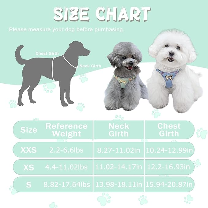 No Pull Dog Harness and Leash Set for Small Sized Dog Training; Puppy Harnesses with Multifunction Dog Leash, Soft Adjustable Denim No Choke Escape Proof Pet Harness for Small and Medium Dog (Teal XS)