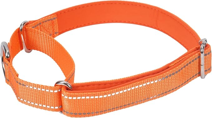 SGODA Martingale Dog Collar, Reflective Nylon Padded Dog Training Collars for Large Dogs, Orange L