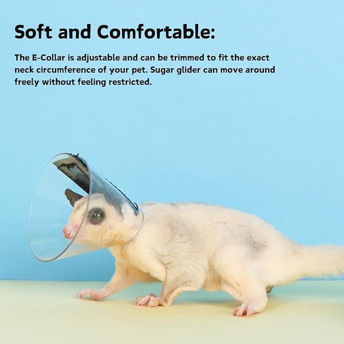 Sugar Glider Recovery Cone - Adjustable Protection Collar Soft Recovery Collar for Rat Bird Hamster Rabbit Guinea Pig After Surgery Wound Healing Elizabeth Neck E Collar for Small Animal (S (3-8cm))