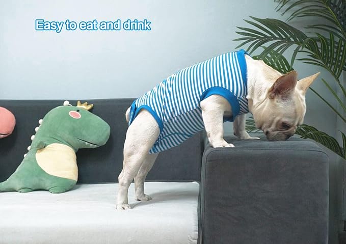 Dog Blue Recovery Suit for X-Small Female Spay,Male Dog Surgery Suit,Narrow Blue-White XS