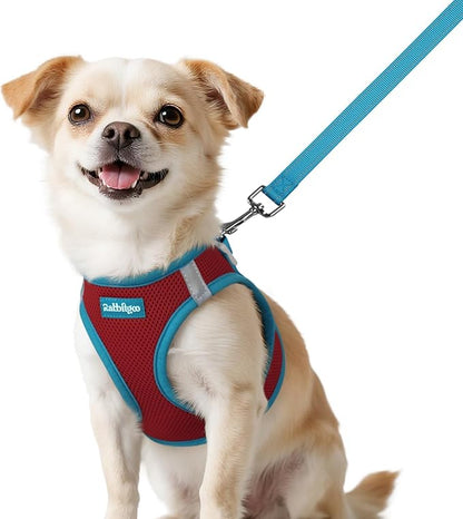 rabbitgoo Dog Harness Small Sized and Leash Set, Step-in Breathable Pet Harness, Soft Walking Reflective Puppy Vest for Small Dogs, Red & Teal, XXS