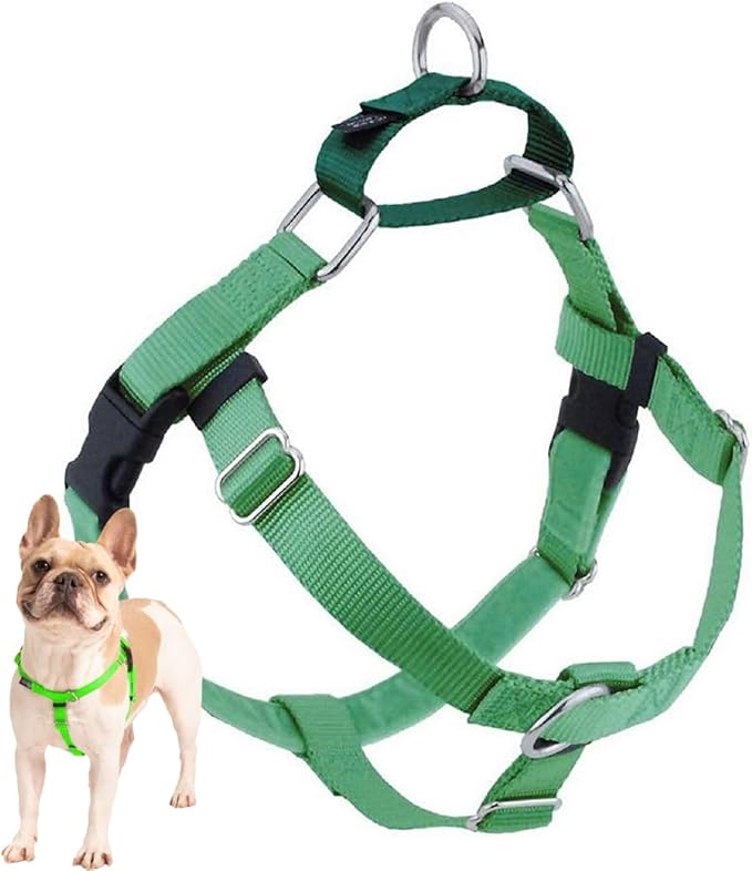 2 Hounds Design Freedom No Pull Dog Harness, Adjustable Harness, Easy Walking & Comfortable Control, Fits Small, Medium & Large Dogs, Solid Colors, Made in USA, 1" MD, Neon Green