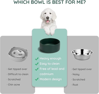 SPUNKYJUNKY 42OZ Ceramic Dog and Cat Bowl, Modern Cute Weighted Food Water Bowl for Replacement Green (2 Pack)