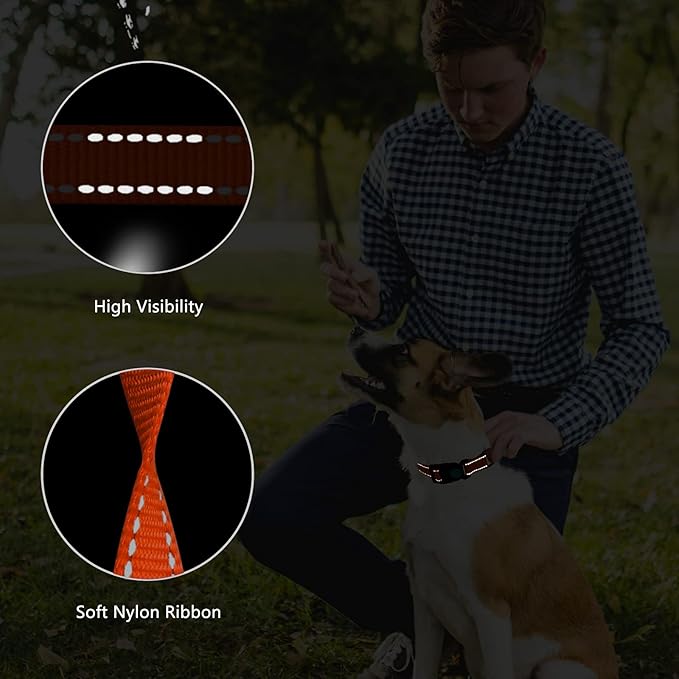 Martingale Dog Collar and Leash Set Martingale Collars for Dogs Reflective Martingale Collar for Small Medium Large Dogs(Orange&M)