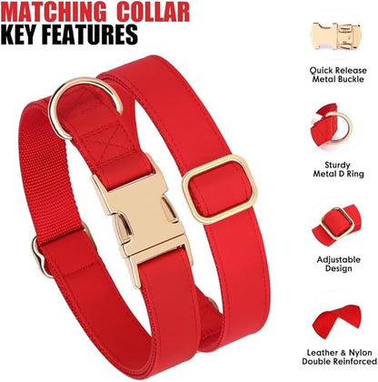 PET ARTIST Soft PU Leather Dog Collar and Leash Set, Bright & Stylish 5FT PU Leather Leash and Collar Set, Durable Pet Collars with Quick Release Metal Buckle for Small Dogs,Red,S(9"-14")