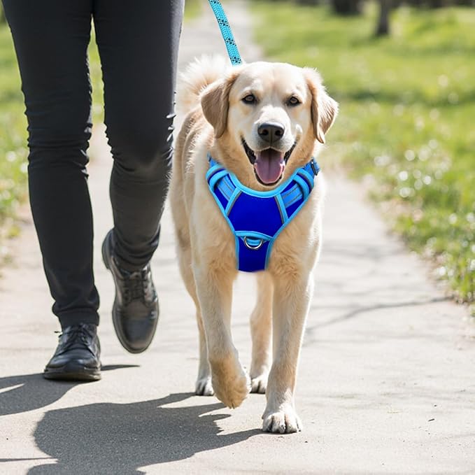 BARKBAY No Pull Dog Harness Large Reflective Dog Harness with Front Clip and Easy Control Handle for Walking Training Running with ID tag Pocket(Sapphire Blue & Blue,L)