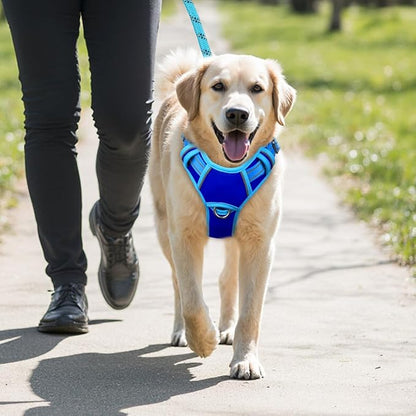 BARKBAY No Pull Dog Harness Large Reflective Dog Harness with Front Clip and Easy Control Handle for Walking Training Running with ID tag Pocket(Sapphire Blue & Blue,L)