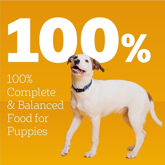 Pedigree Puppy Chopped Ground Dinner Wet Puppy Food with Chicken & Beef,Canned Dog Food,13.2 oz. Cans,12 Count (Pack of 2)