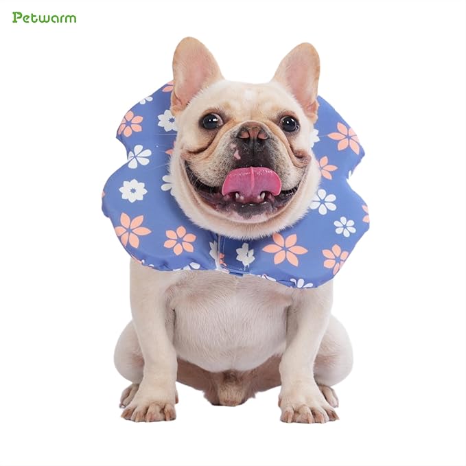 PetWarm Dog Recovery Collar, Recovery Collar for Dogs, Lightweight Soft Flower Design, Comfortable Neck Protector Helps Discourage Licking, Post-Visit Protective Collars, Flower Print, Blue, S