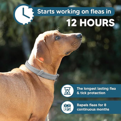 NJKPUYT Flea Collar for Dogs, Tick and Flea Collar for Dogs, Dog Tick Collar, Dog Flea Collars, Tick Collar for Dogs, Flea Collar for Large Dogs, Lasts Up to 8 Months, Family Friendly – 2 Pack