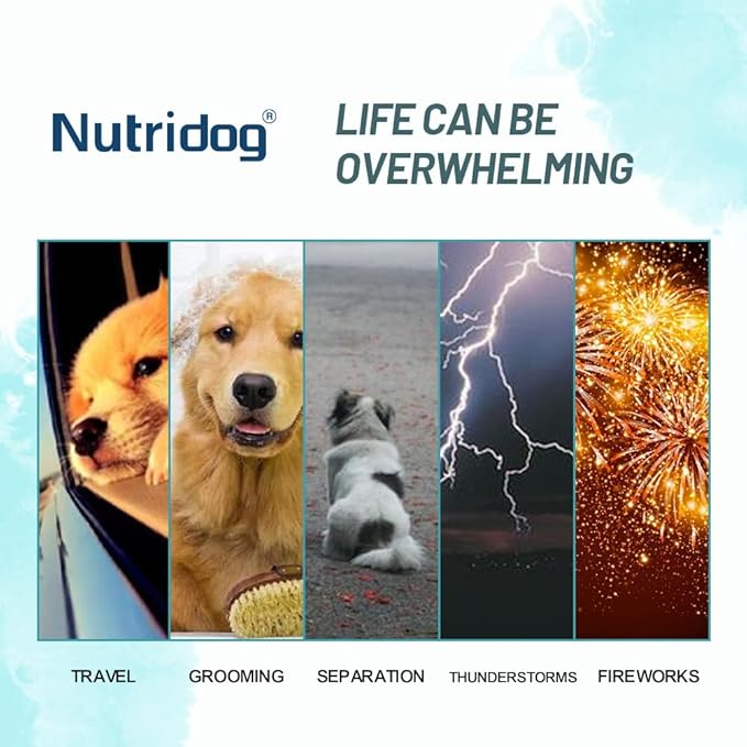 Calming Powder for Dogs - Anxiety & Stress Relief Supplement with Organic Hemp, Valerian Root - Behavioral Support, Fireworks & Travel Aid - Beef Flavor, 90g Powder (ND-046)