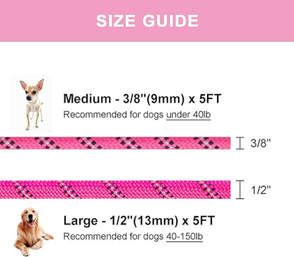 5 FT Slip Lead Dog Leash, Heavy Duty Rope Leash for Small Medium Large Dogs, No Pull Training Lead with Reflective Thread, Strong Comfortable Loop Leash (Pink Stripe, Medium(3/8"))