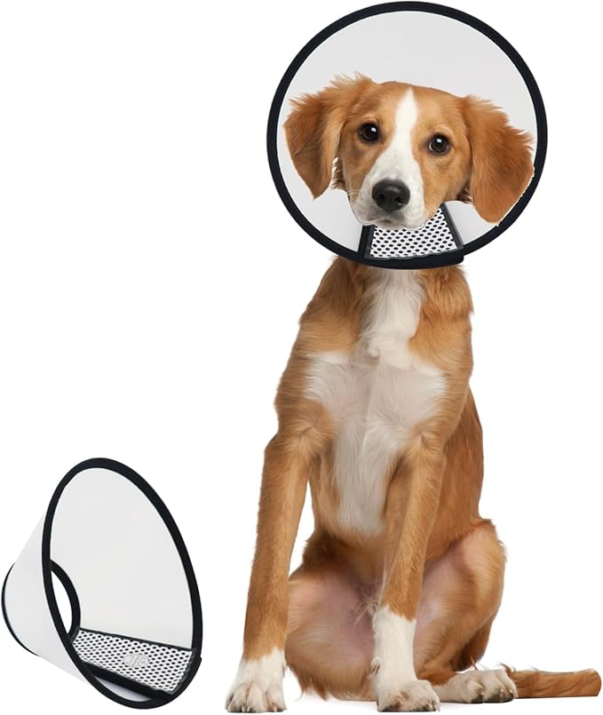 Dog Cone After Surgery, Adjustable Pet Recovery Collar for Dogs and Cats, Plastic Elizabethan Neck E-Collar Stop Licking Wounds (L)