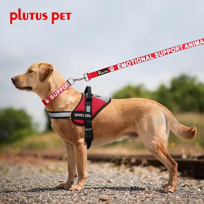 Plutus Pet Emotional Support Animal Leash with Soft Neoprene Padded Handle,Printed in Large Letters on Both Sides,4ft Long,Red,3/4" Wide for Medium Dogs