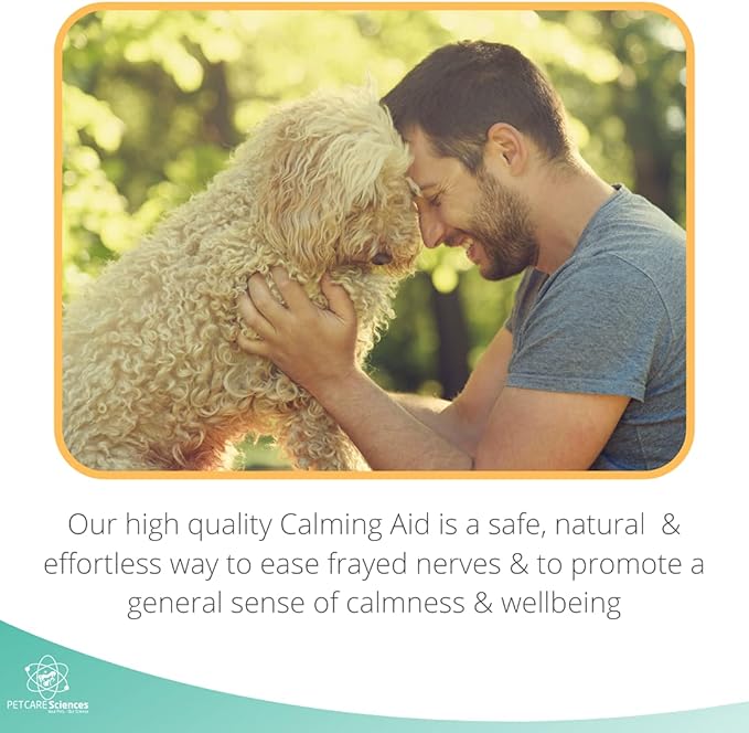Calming Chews for Dogs or to Calm Puppy - Natural Dog Anxiety Relief - Anti Car Motion Sickness for Dog Calming Treats - Made in The USA - 100 Tasty Turkey Flavor Chews