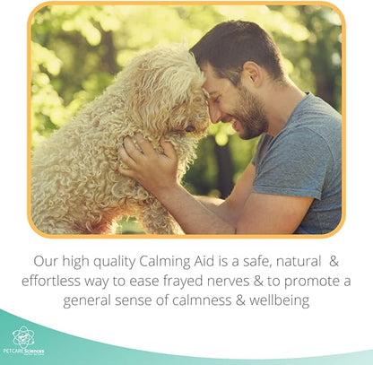 Calming Chews for Dogs or to Calm Puppy - Natural Dog Anxiety Relief - Anti Car Motion Sickness for Dog Calming Treats - Made in The USA - 100 Tasty Turkey Flavor Chews