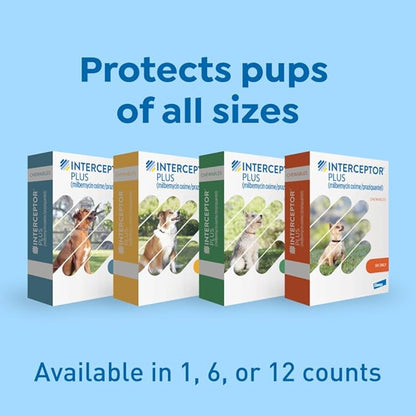 Interceptor Plus Prevention for Heartworm + 4 Other Worms for Dogs 2-8 lbs. | 12 Chews, 12-Month Supply