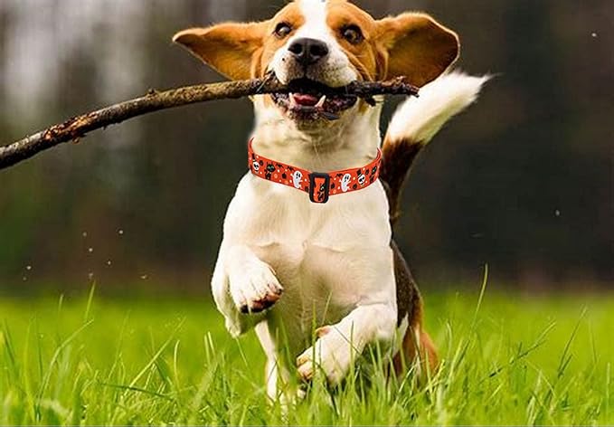 Mihqy Halloween Dog Collar - Pumpkin Bat Ghost Pattern - Adjustable for Small Medium Large Dogs(Halloween,L)
