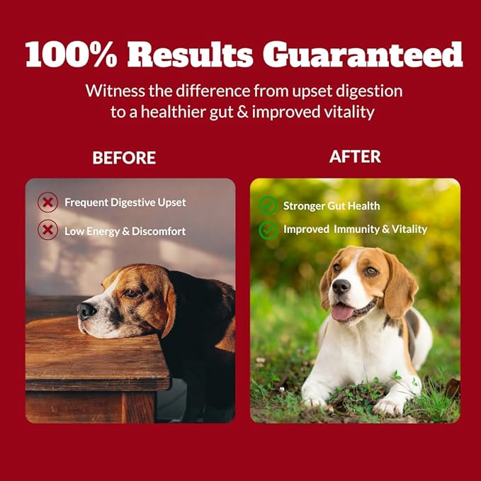 Probiotics for Dogs&Cats, Probiotic for Sensitive Stomach, Itchy Skin, Allergies, Immunity, Yeast Balance, Oral Problems-Dog Probiotic and Digestive Enzymes with Prebiotics-Reduce Diarrhea, Gas-120 Ct