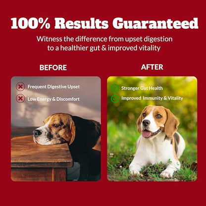 Probiotics for Dogs&Cats, Probiotic for Sensitive Stomach, Itchy Skin, Allergies, Immunity, Yeast Balance, Oral Problems-Dog Probiotic and Digestive Enzymes with Prebiotics-Reduce Diarrhea, Gas-120 Ct
