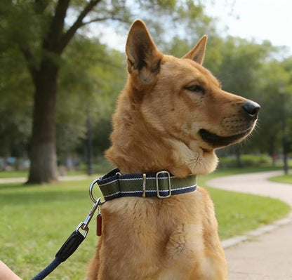 Martingale Collar 1.5 Inch Wide 1600D Extra Strong Anti Escape Nylon Dog Collar, No Pull Heavy Duty Dog Collar with 3-Color Stripe for Large to XLarge Dogs (XLarge, Army Green & Gray)