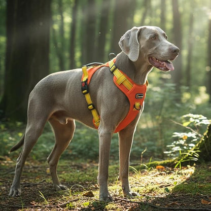 Tactical Dog Harness for Large Medium Dogs No Pull Adjustable Pet Vest with Reflective Straps Front & Back Clips Handle for Hiking Walking Hunting– 4 Sizes with or Without Leash (Orange, L)